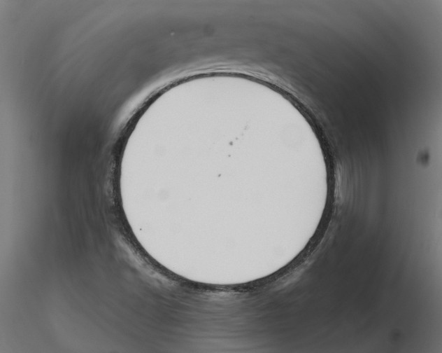 X0000116511502201001061212