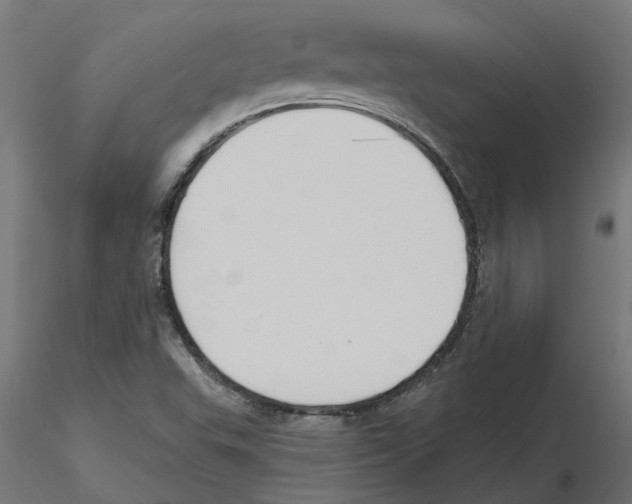 X0000116511503201001061212
