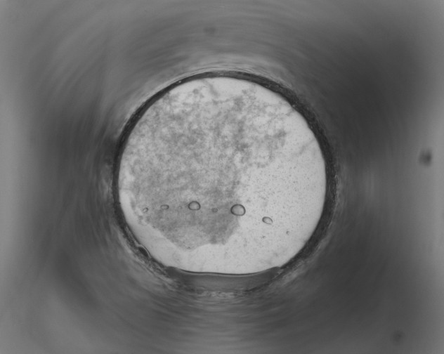 X0000116511505201001061212
