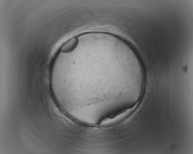 X0000116511506201001061212