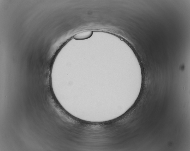 X0000116511507201001061212