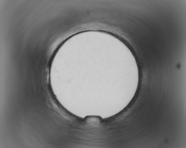 X0000116511509201001061212