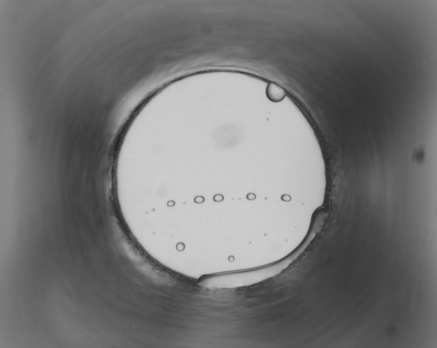 X0000116511511201001061212