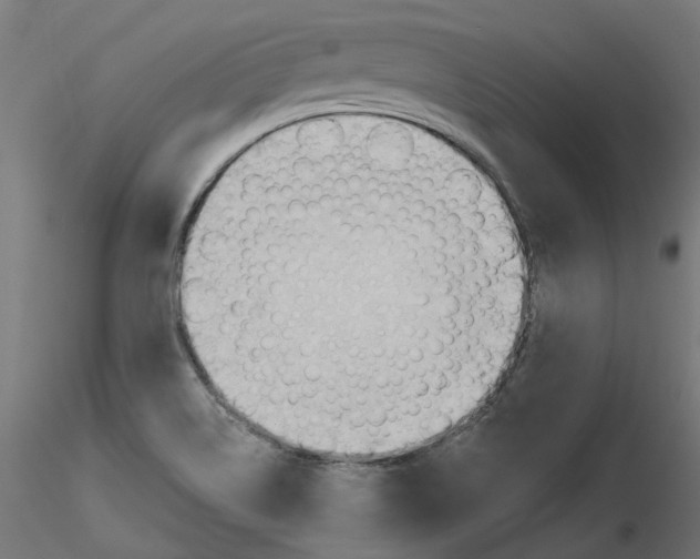 X0000116511514201001061212