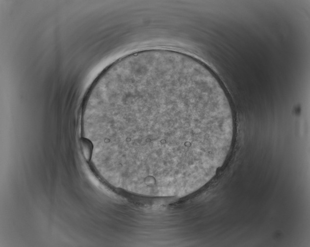 X0000116511515201001061212