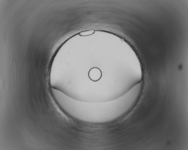 X0000116511517201001061212