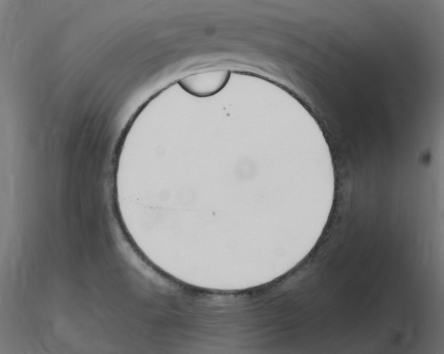 X0000116511518201001061212