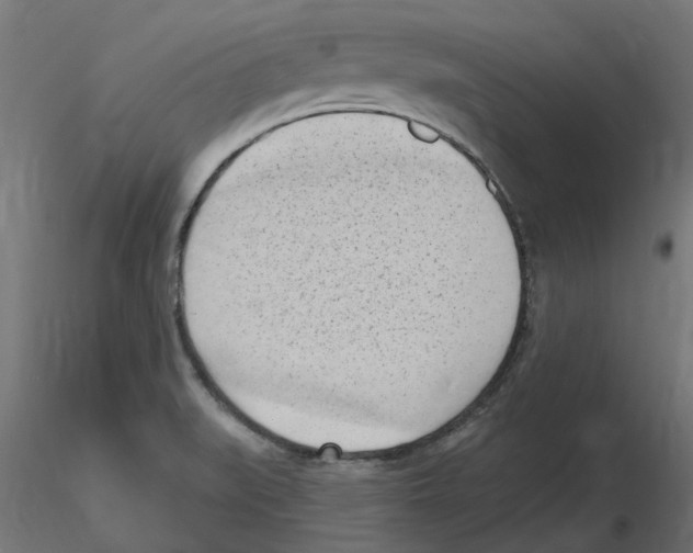 X0000116511519201001061212