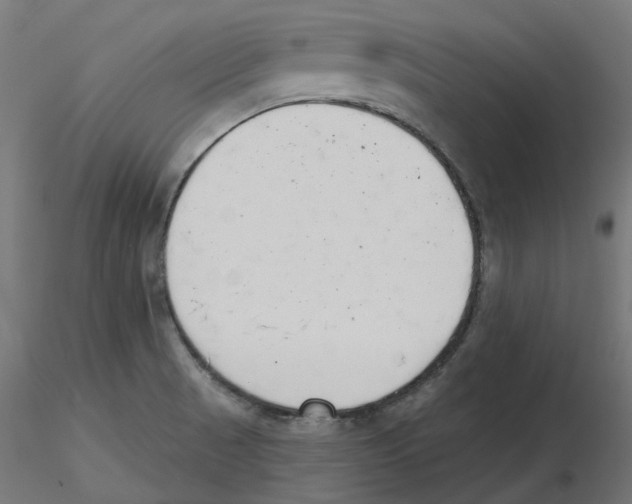 X0000116511521201001061212