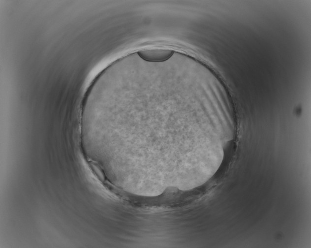 X0000116511522201001061212