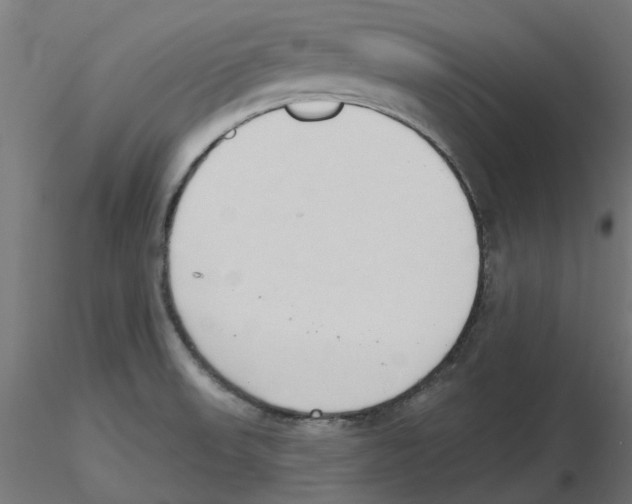 X0000116511523201001061212