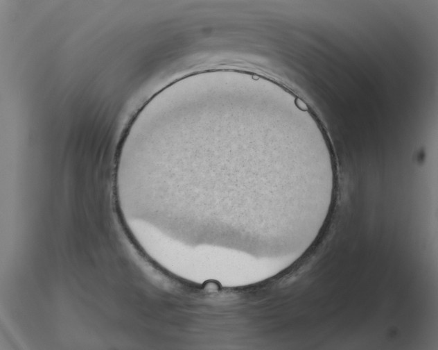 X0000116511525201001061212