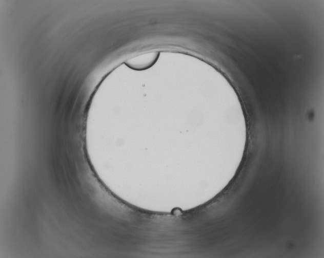 X0000116511526201001061212
