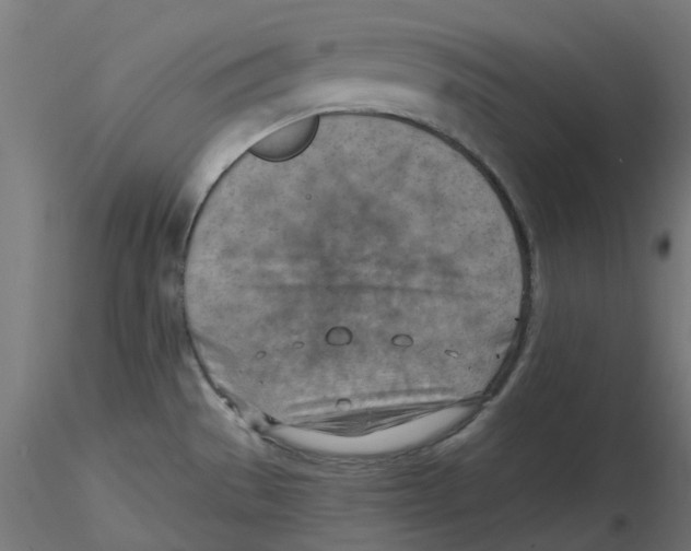 X0000116511529201001061212