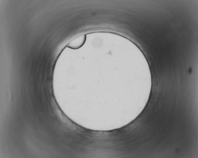 X0000116511534201001061212