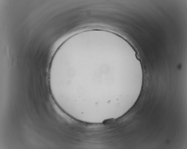 X0000116511535201001061212