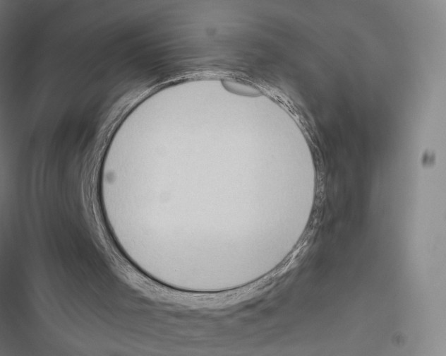 X0000116510001201001201455