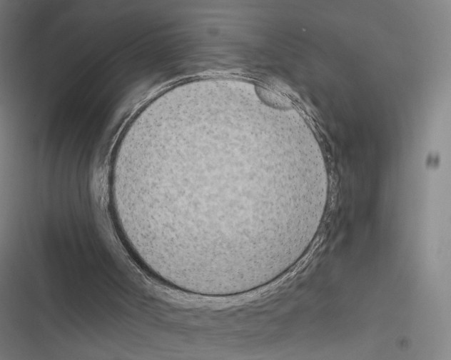 X0000116510002201001201455
