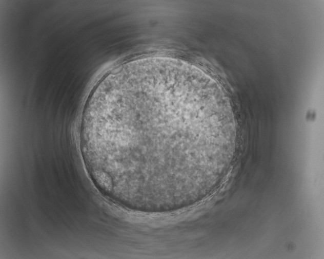 X0000116510003201001201455