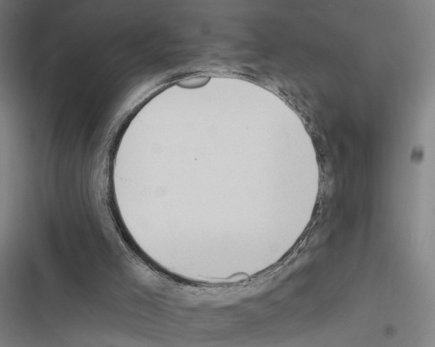X0000116510005201001201455