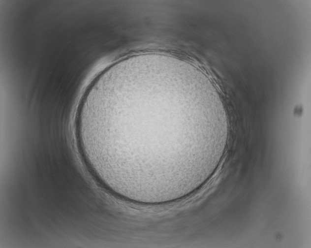 X0000116510006201001201455