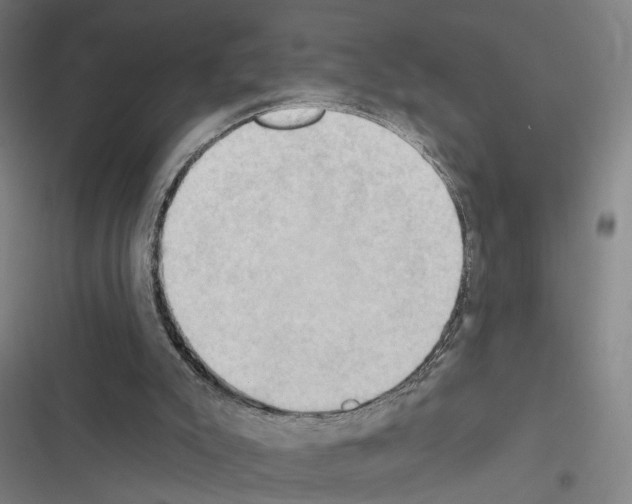 X0000116510007201001201455