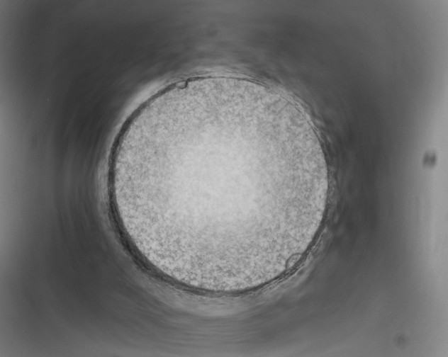 X0000116510008201001201455