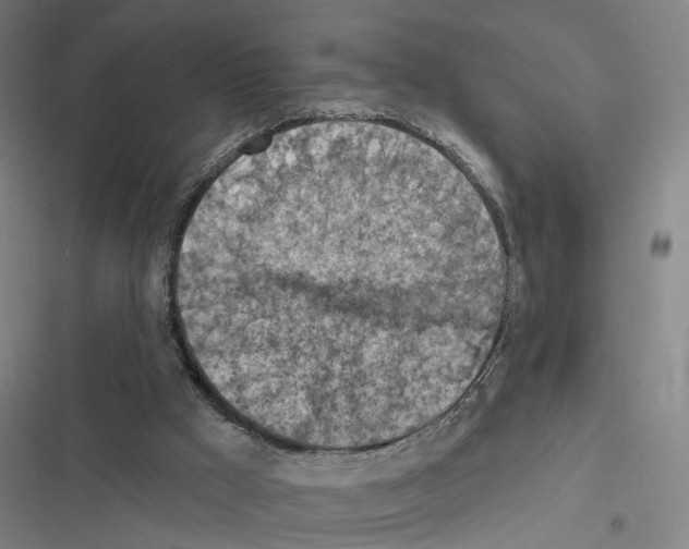 X0000116510009201001201455