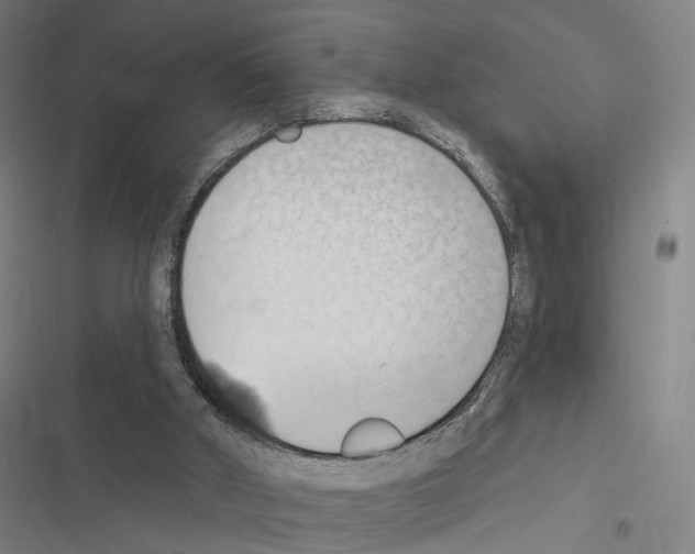 X0000116510010201001201455