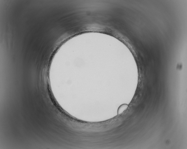 X0000116510011201001201455