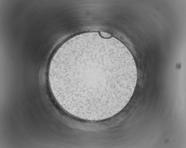 X0000116510012201001201455