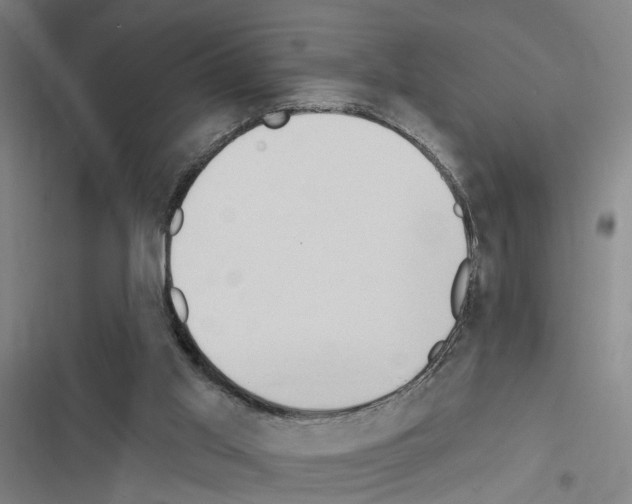 X0000116510013201001201455