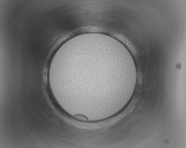 X0000116510014201001201455