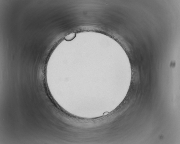 X0000116510015201001201454