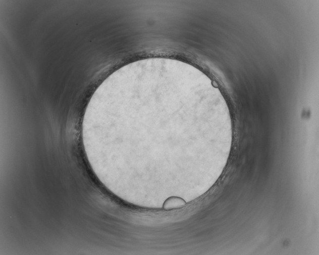 X0000116510017201001201454