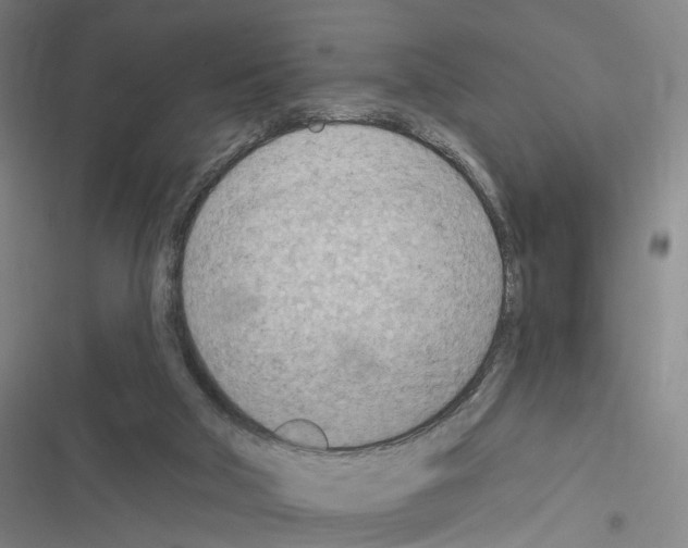 X0000116510018201001201454
