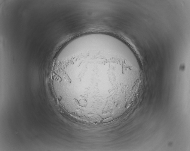 X0000116510019201001201454