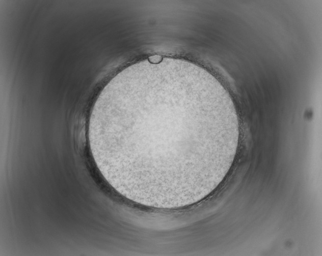 X0000116510020201001201454