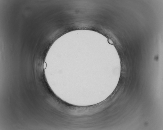 X0000116510021201001201454
