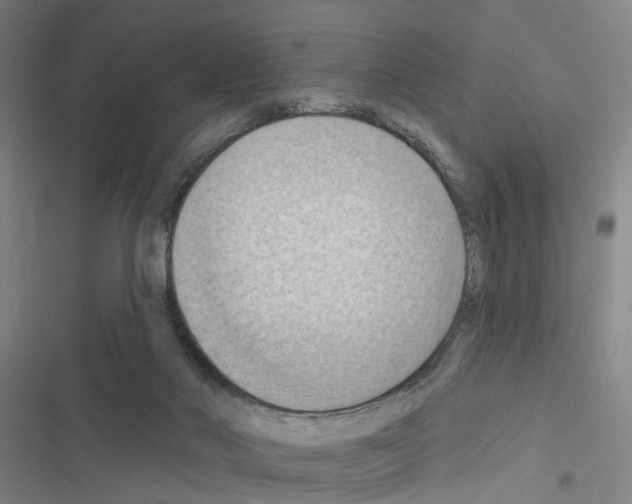X0000116510022201001201454