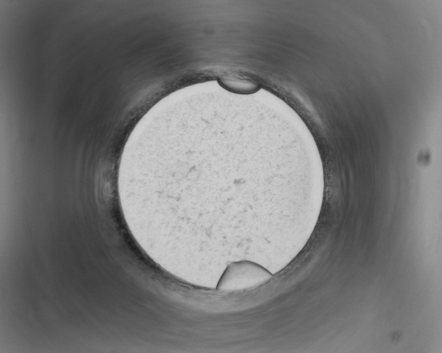 X0000116510023201001201454