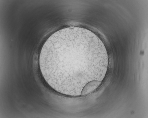 X0000116510024201001201454