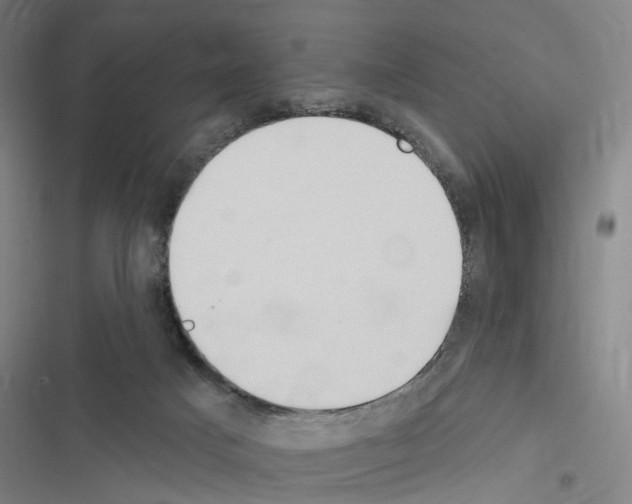 X0000116510025201001201454