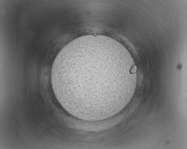 X0000116510026201001201454