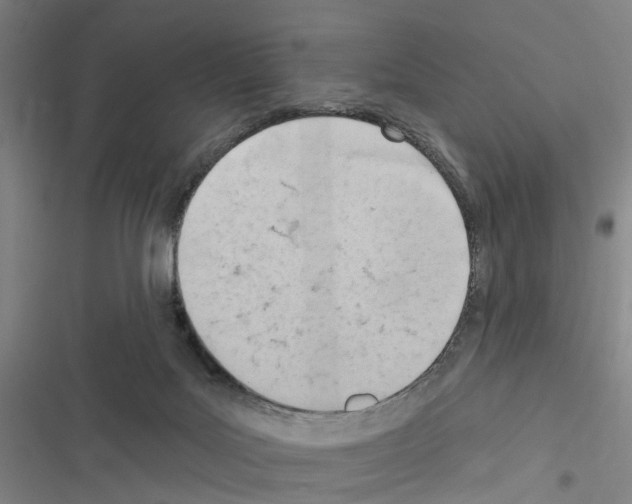 X0000116510027201001201454