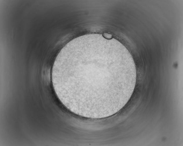 X0000116510028201001201454