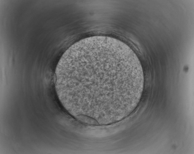 X0000116510029201001201454
