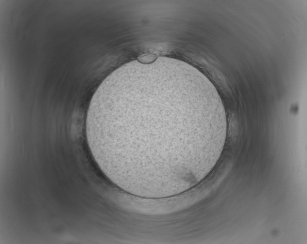 X0000116510030201001201454
