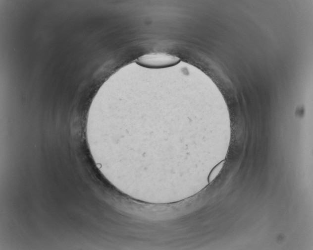 X0000116510031201001201454