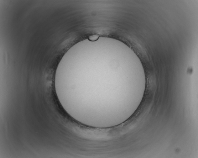 X0000116510032201001201454